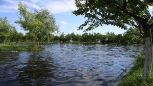 Balta de pescuit pentru Bucuresteni