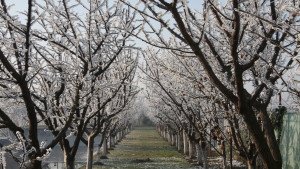 Iarna pe alee la camin de batrani