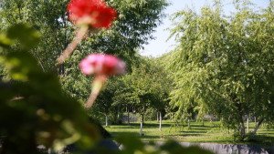 Loc pentru agrement si gratar