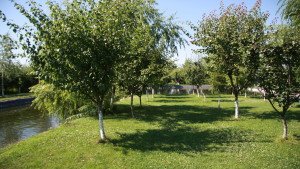 Loc pentru intalniri