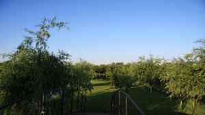 Luna poposind la agrement in curtea noastra