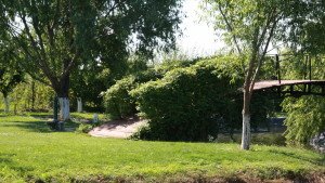 Oaza de soare sau loc la umbra