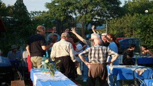 Onomastica la iarba verde