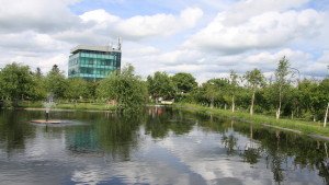 Pescuit sportiv si gratar in acelasi timp