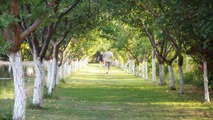 Plimbare in aer liber